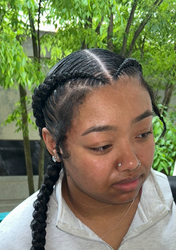 2 Feed-In Braids