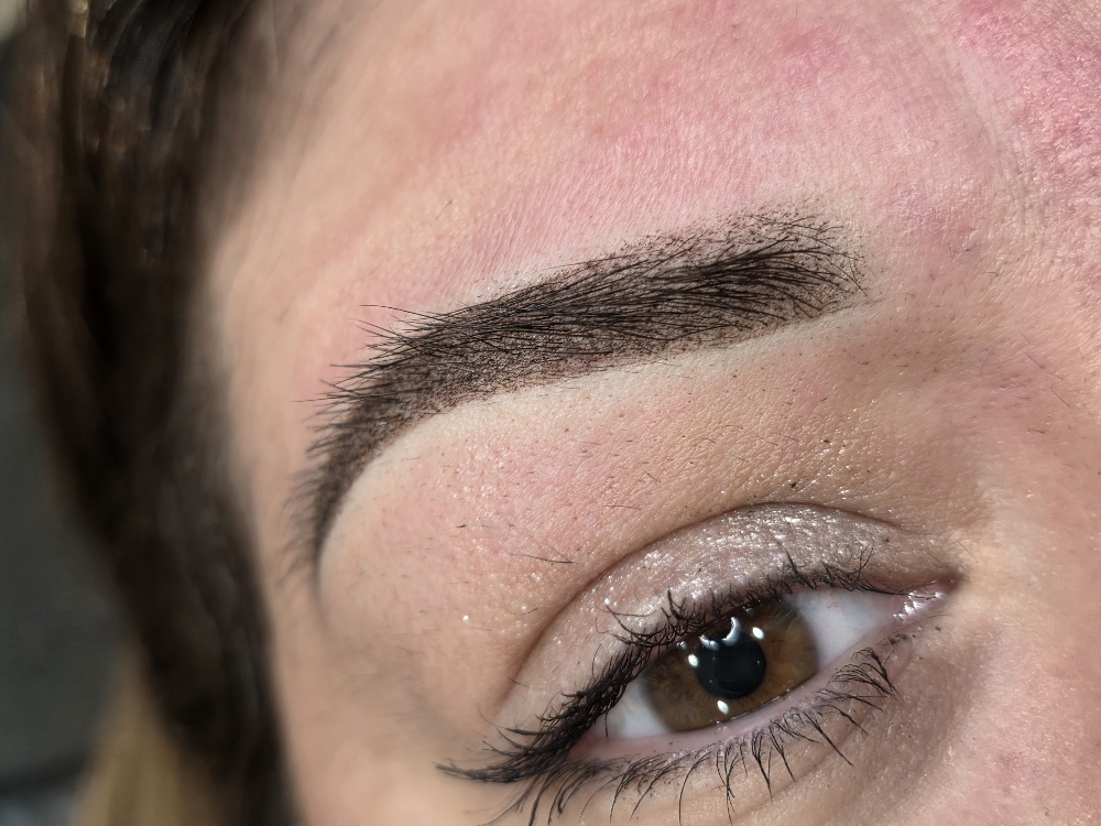 Yearly Touch-Up (PMU brows)