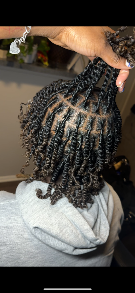 Two Strand Starter Locs