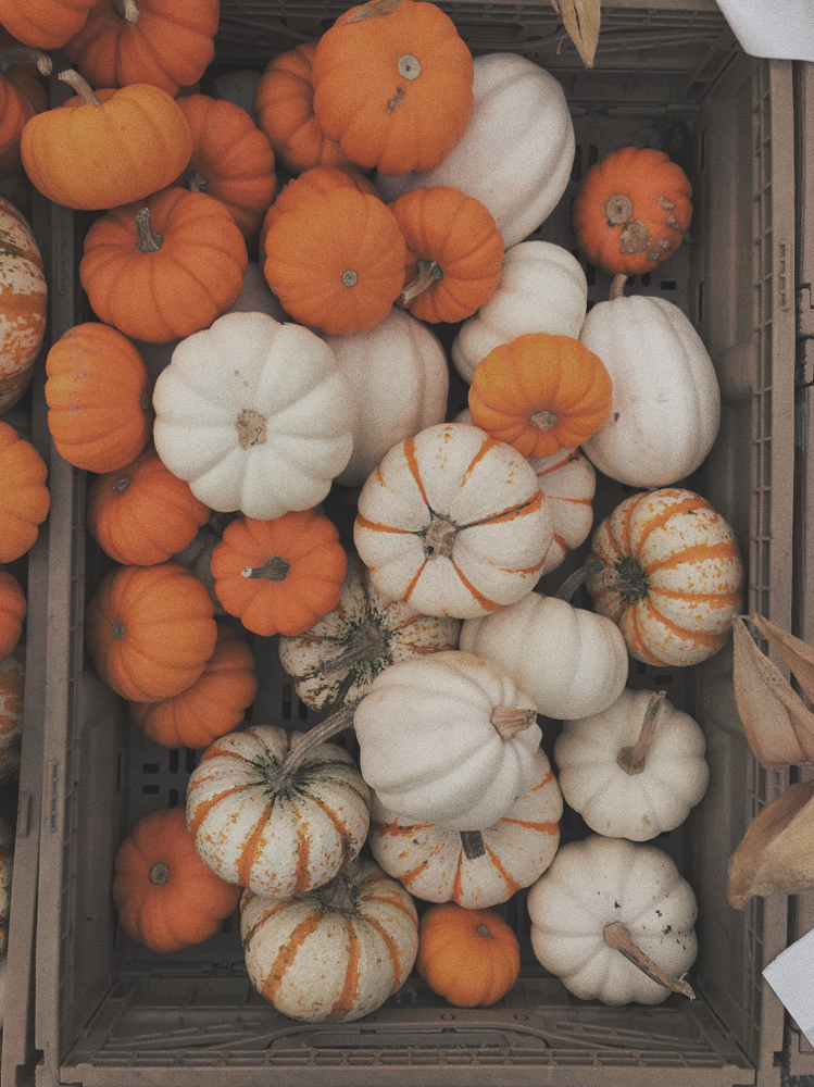 Pumpkin Spice Facial