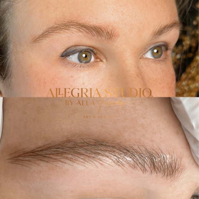 NanoBlading Eyebrows with Touch-up