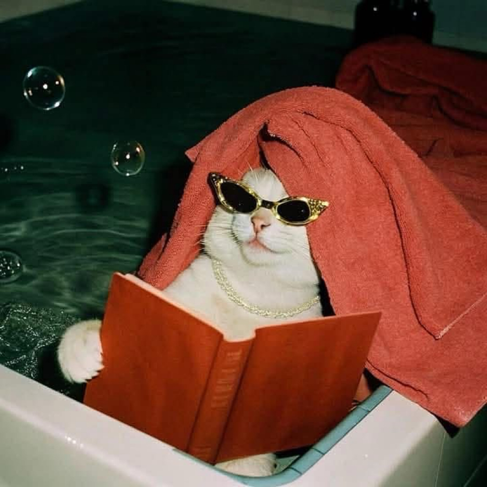 Post Holiday Pick Me Up Blow Dry