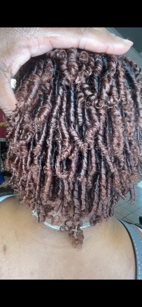 Two Strand Starter Locs