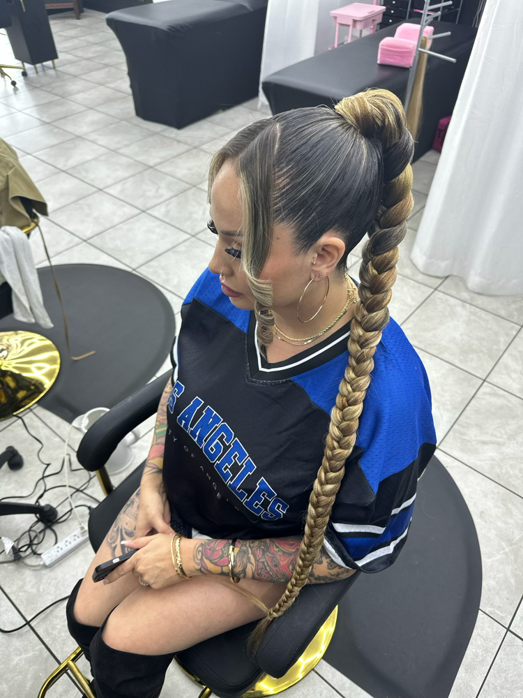 Sleek Braided Ponytail