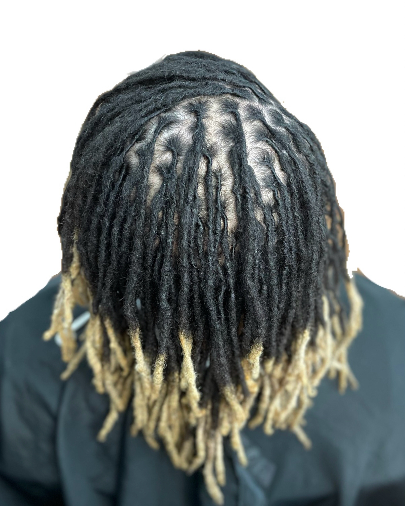 Starter Locs