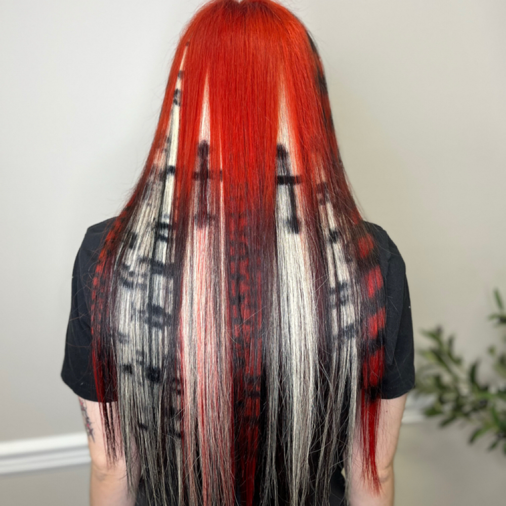 Extensions at Nine Lives Studio in Knoxville, TN