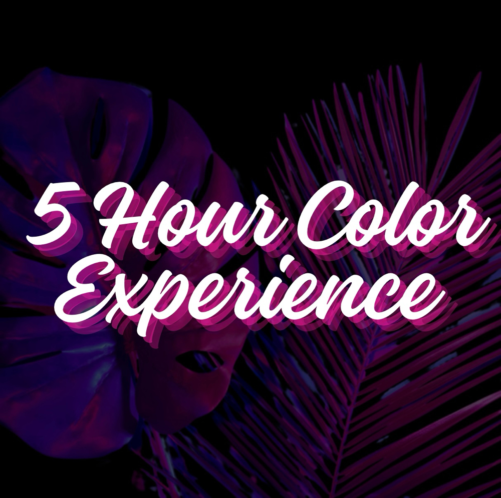 5 Hour Color Experience
