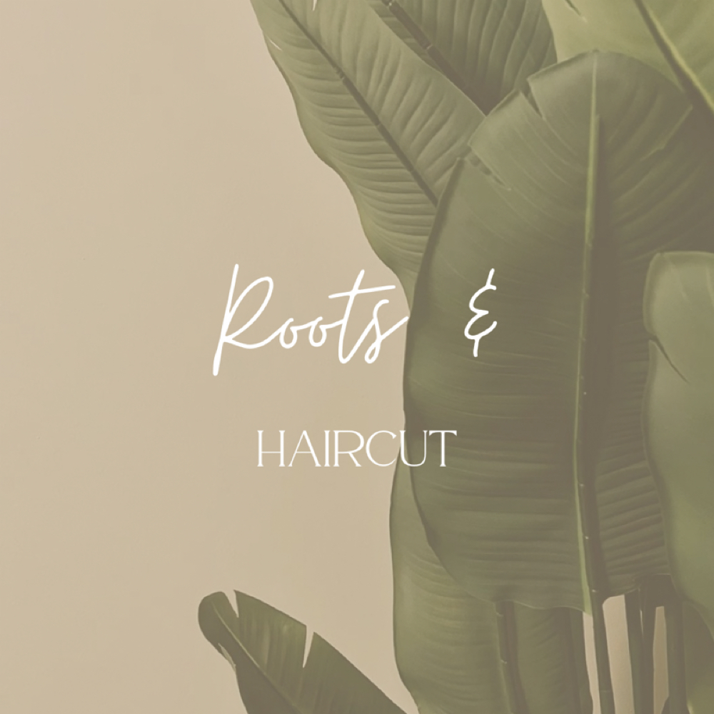 Root Retouch with Haircut at Hair by Alexis McCaw in New Hartford, CT