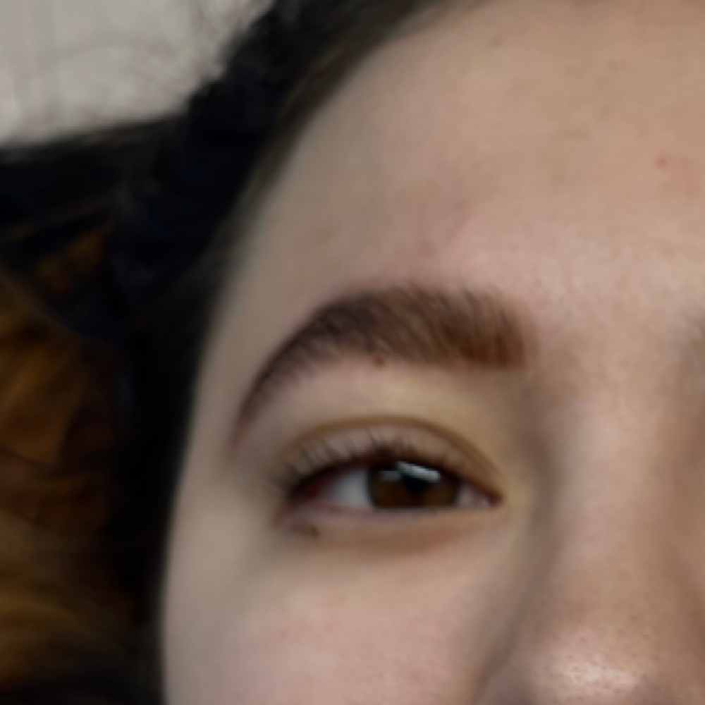 Brow Lamination & Tint at Honey Whim Esthetics in Salt Lake City, UT