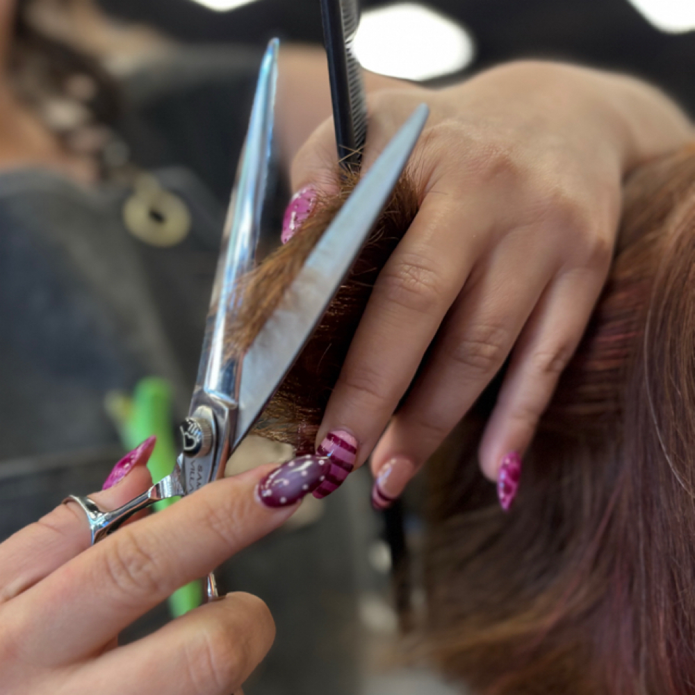 Women’s Haircut/style at Kat’s Hair Studio in Suwanee, GA