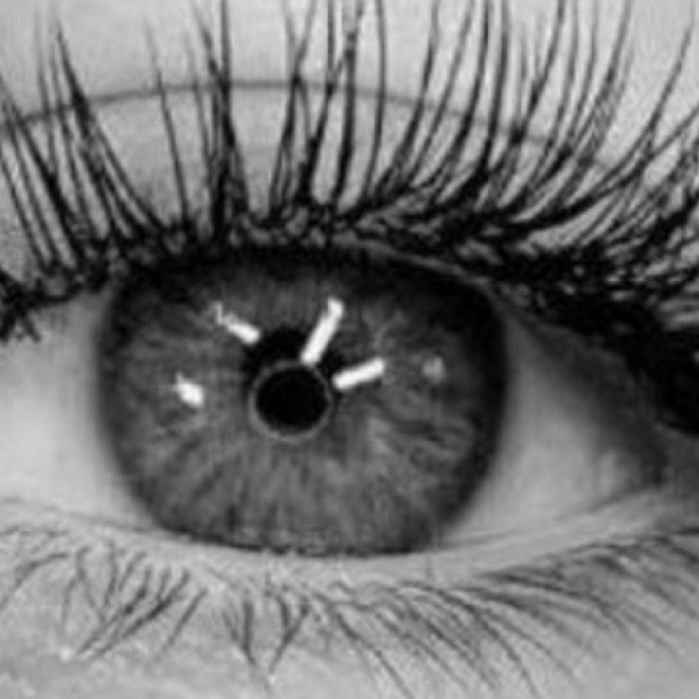 Classic Fill at Luxe Lash Studio by Mimi in Wilmette, IL