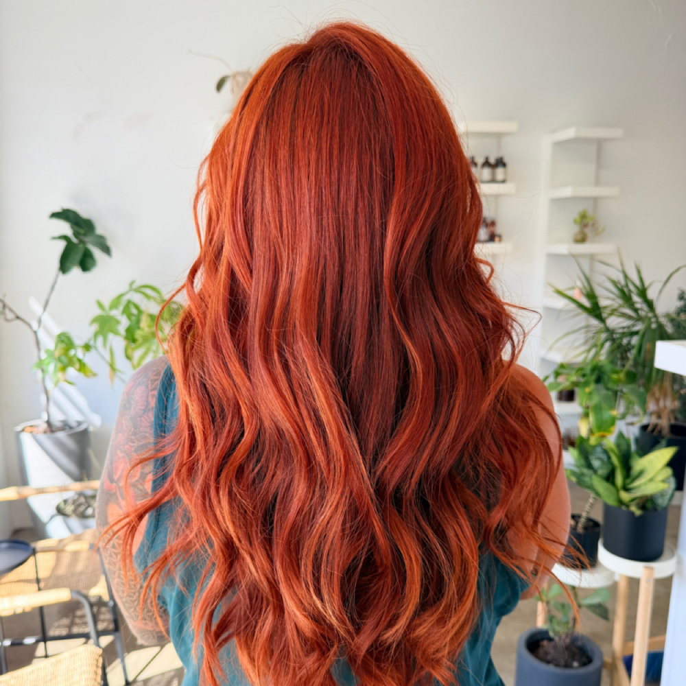 Full Color Services at Texture & Tone Hair Co.   - Jessica Howard in Strongsville, OH