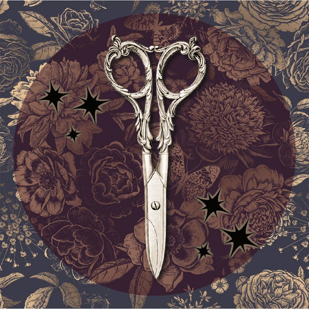 Dry Cut & Style