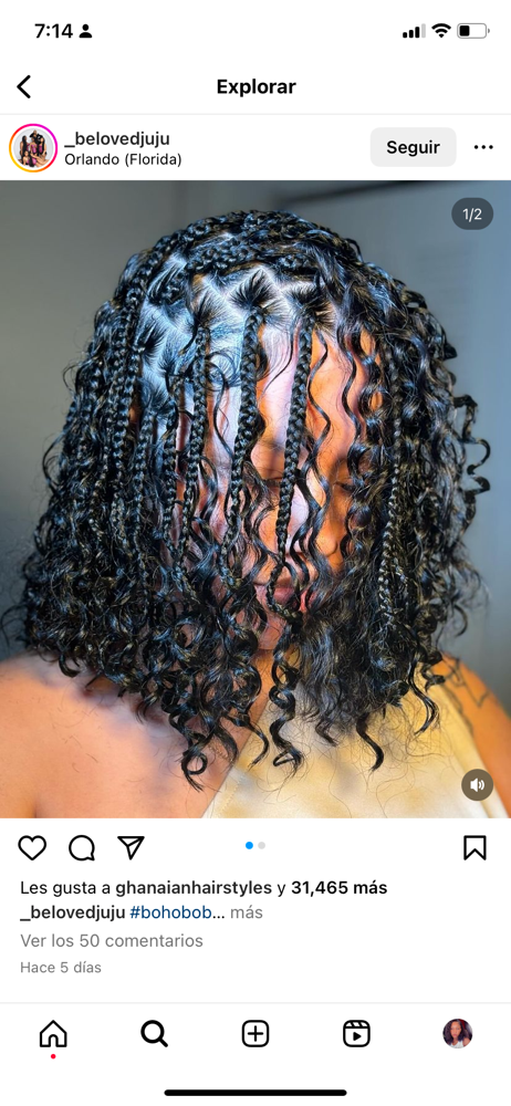 Boho Hair Briads