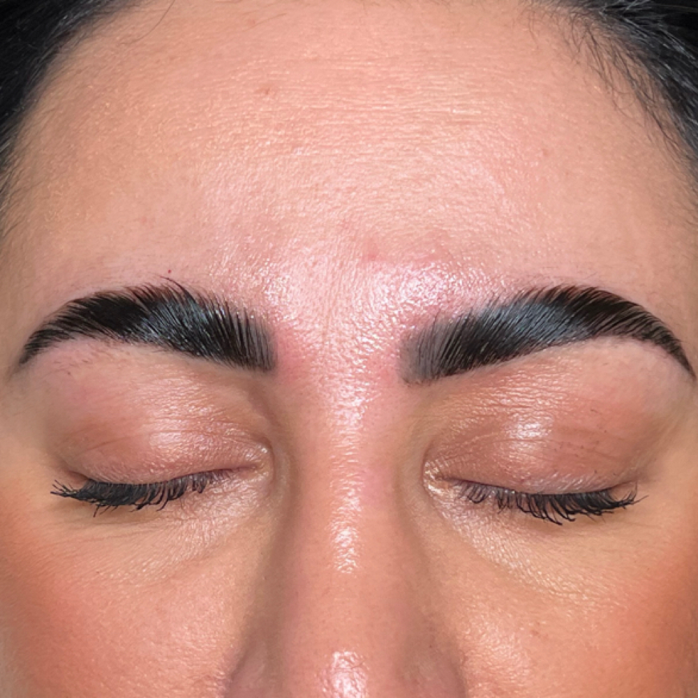 Brow Lamination + Tint + Wax at Esthetic.Luxe Beauty in Sacramento, CA