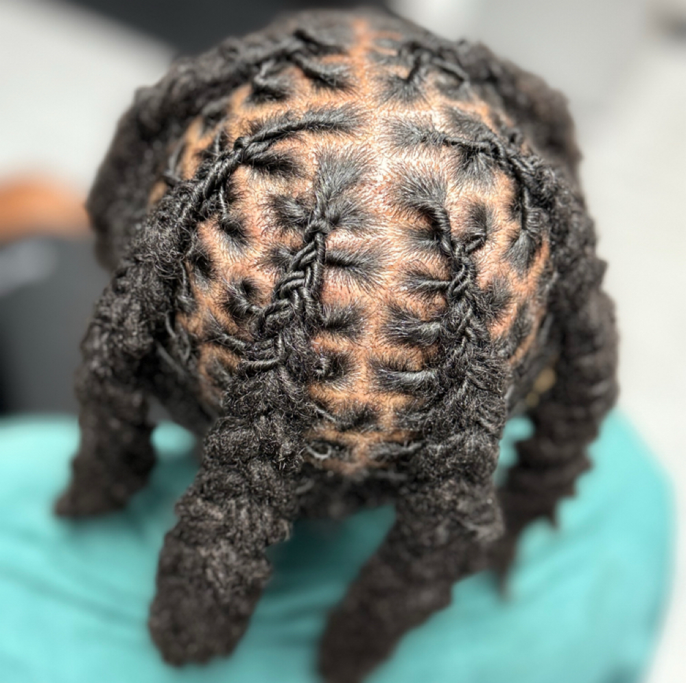 Locs at Healthy Hair By Teena in Twinsburg, OH