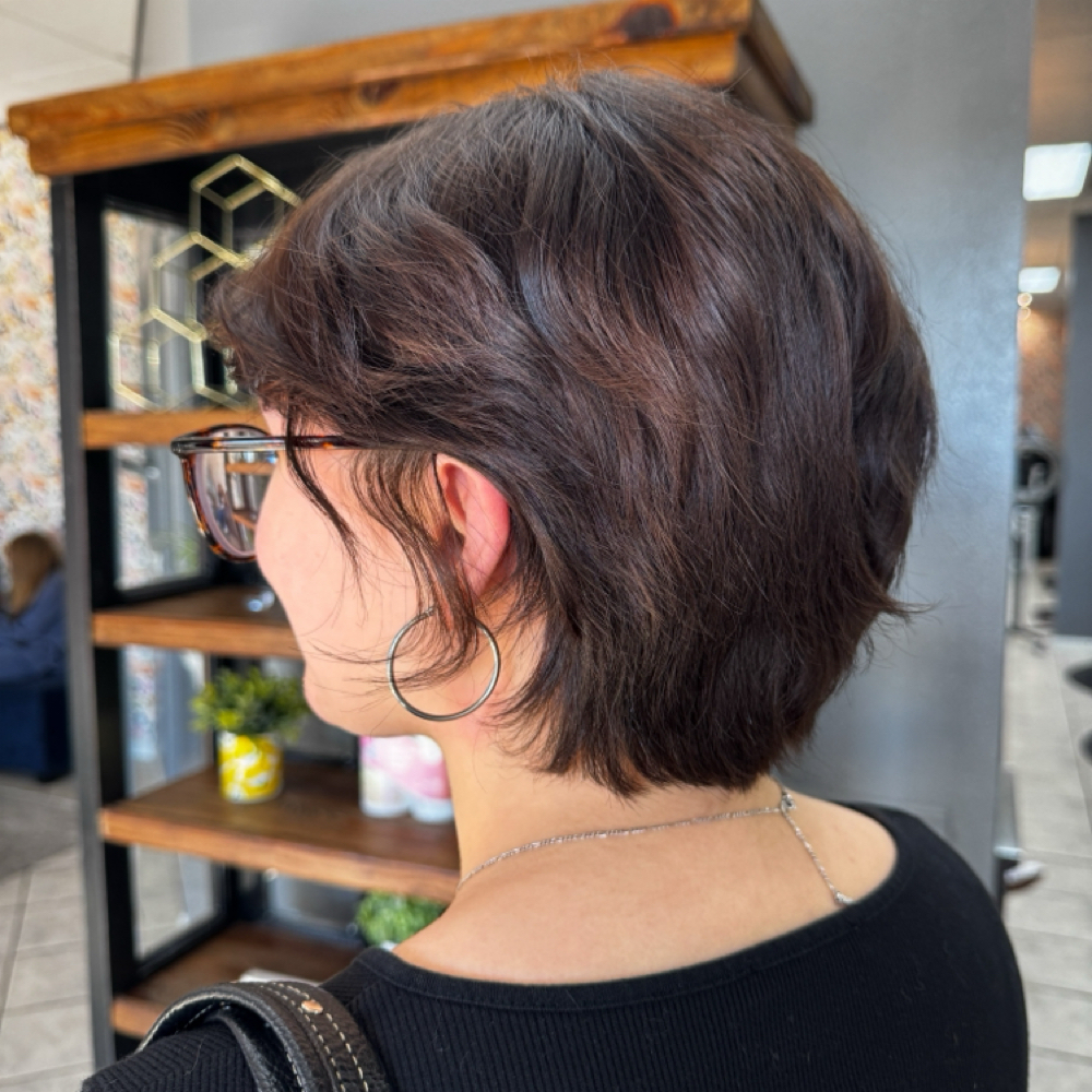 Short Ladys Cut (No Wash) at Jayden.K.Hair in Pace, FL