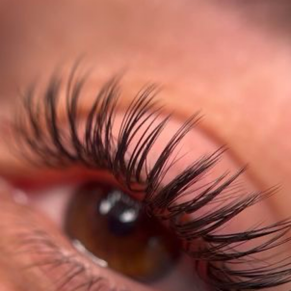 REFILL WET LASHES at ROSTRO PERFECTO in Hialeah, FL