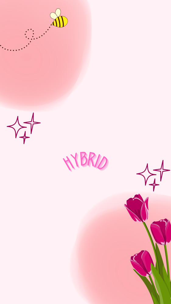 hybrid full set