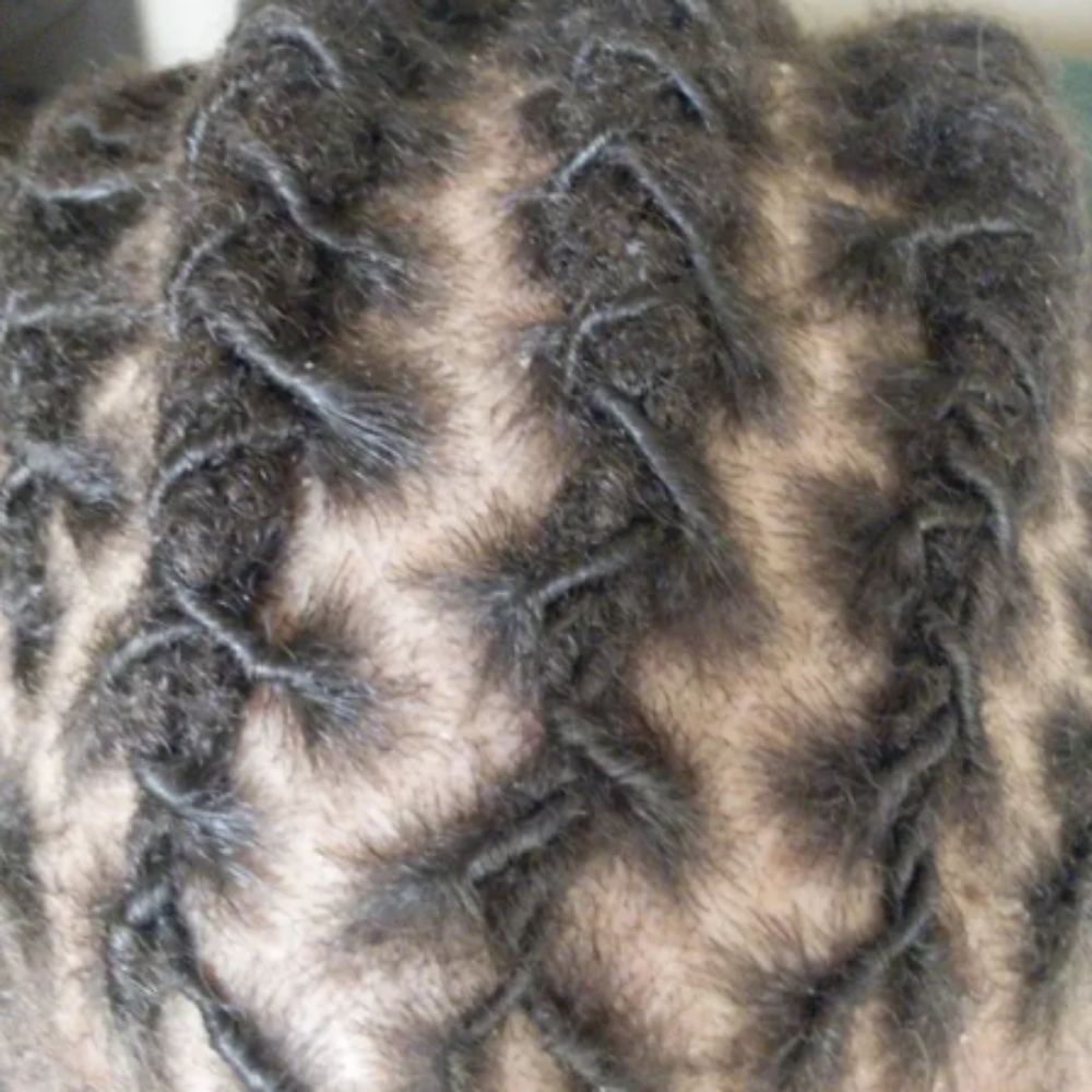 Starter Locs at LOCANDLOVESTUDIO in Frederick, MD