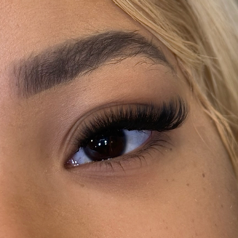 Volume Fill (btw 2-3 weeks) at Nic Lashed You in Knoxville, TN