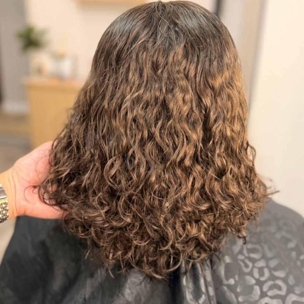 No Bleach Color-Color Sin Decoloran at Lineage Beauty Studio by Vale in Four Oaks, NC