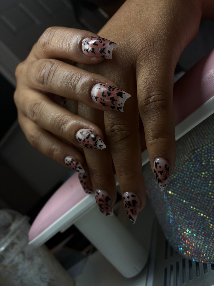 Flawless Fall Set