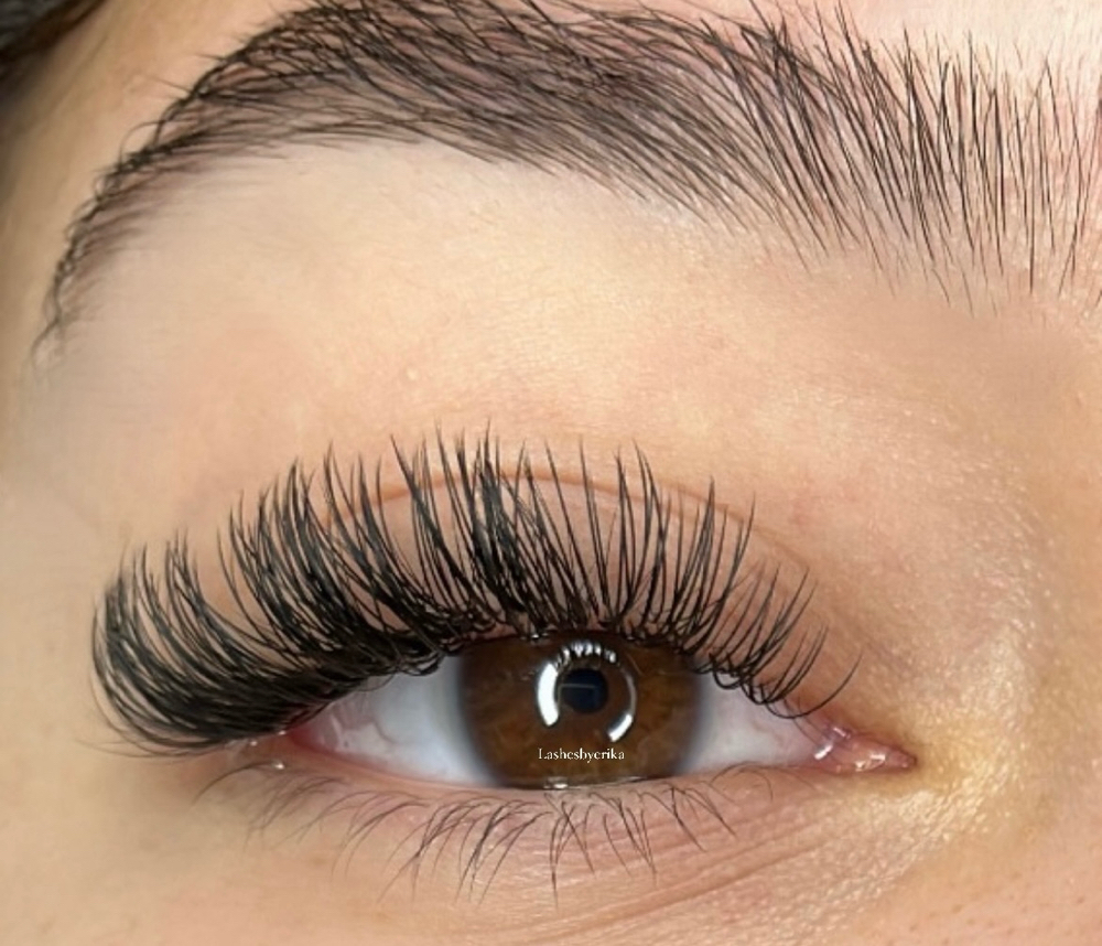 Classic Bold Refill 2 Weeks
