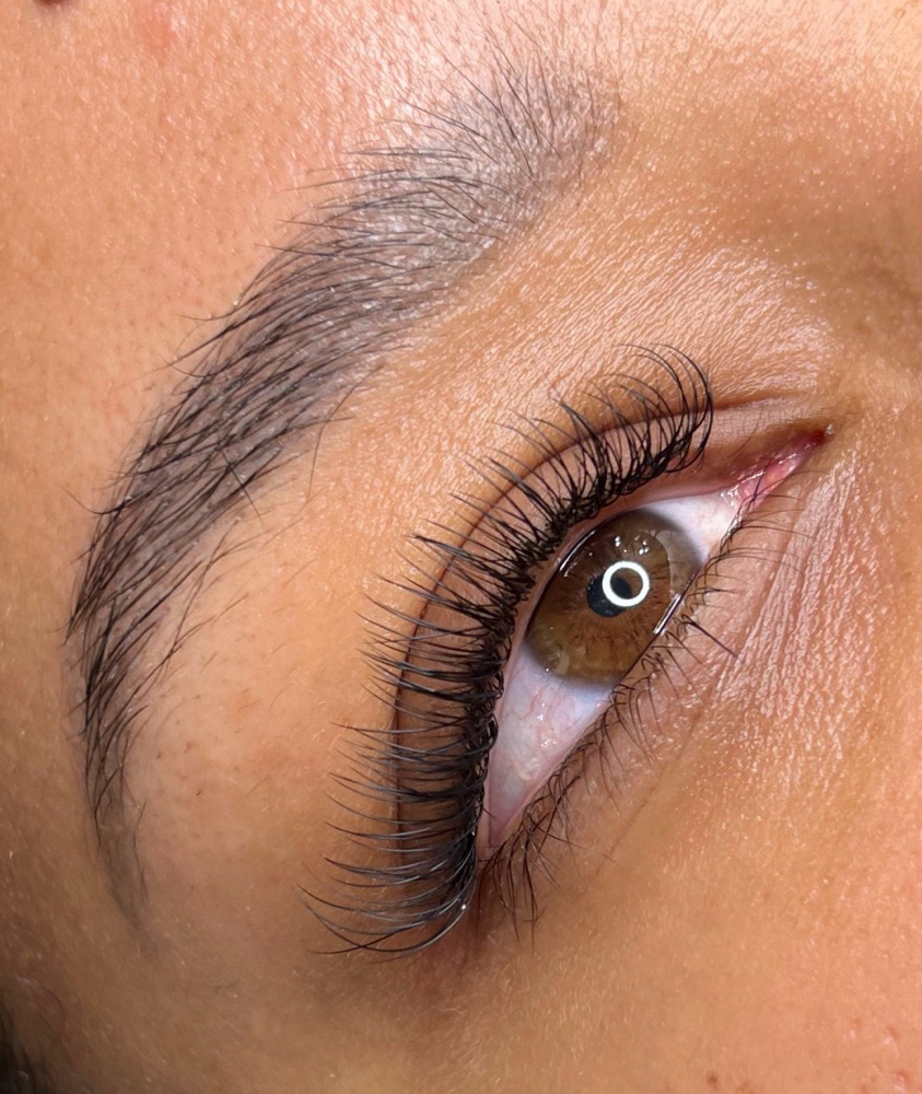 Classic Full Set of Lashes