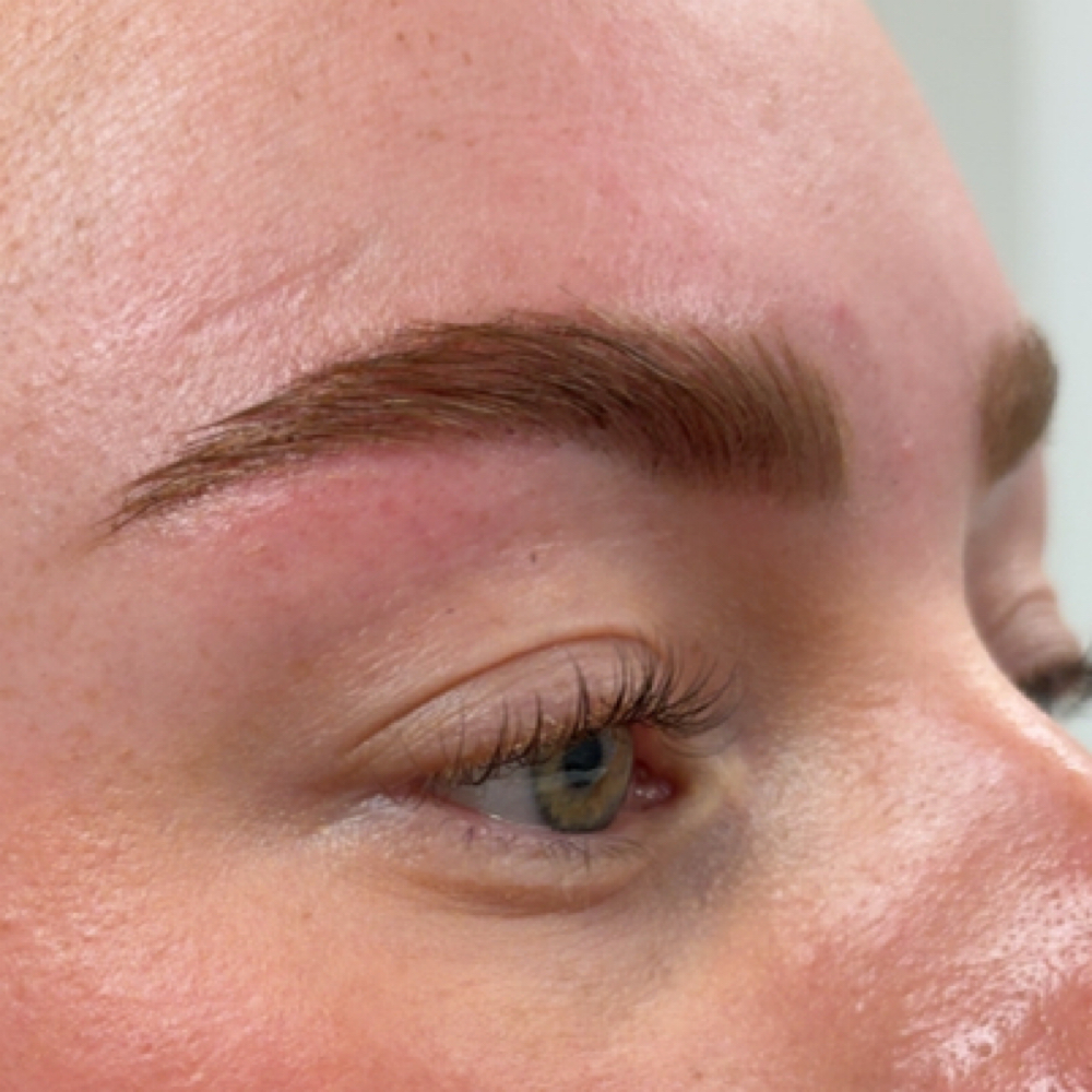Clean Brow Wax at Skin and Brows by Carol in Denver, CO