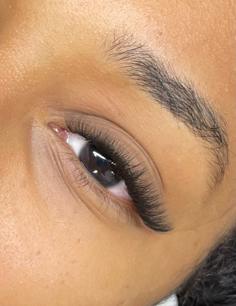 Hibrid Lashes at Seduisant in Huntington Station, NY