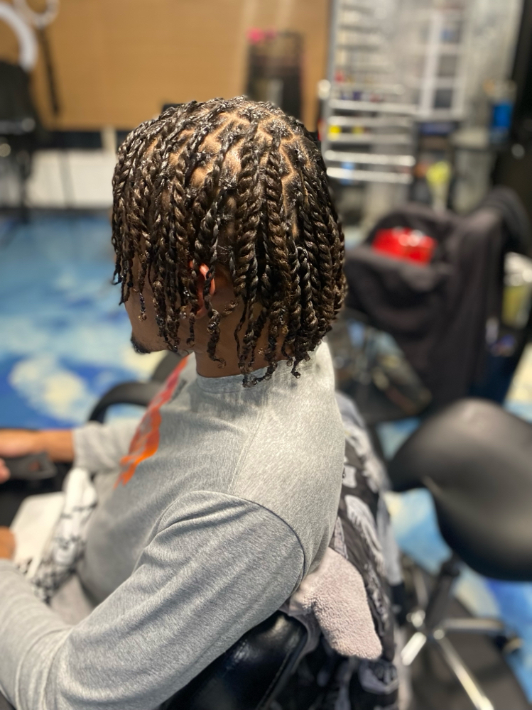 Two Strand Twist