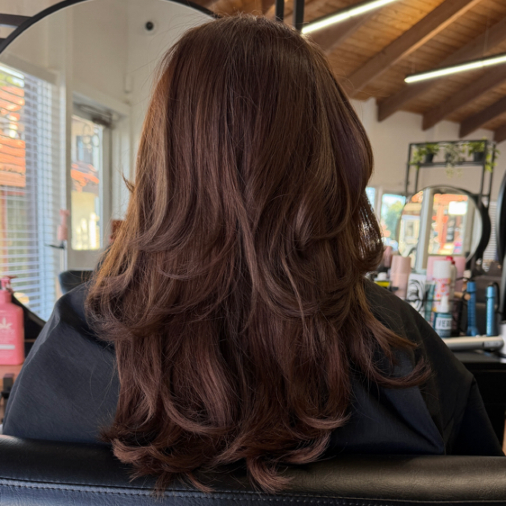 All over color (roots to ends) at By_RosaGuillen in Brea, CA