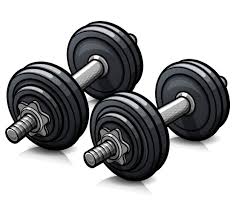 Personal Training Assessment