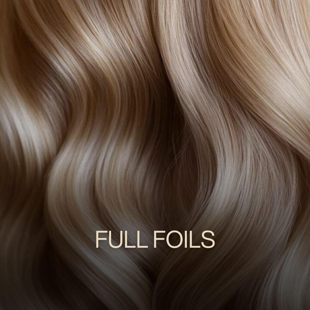 Full Highlight at Zemra Salon in Westborough, MA