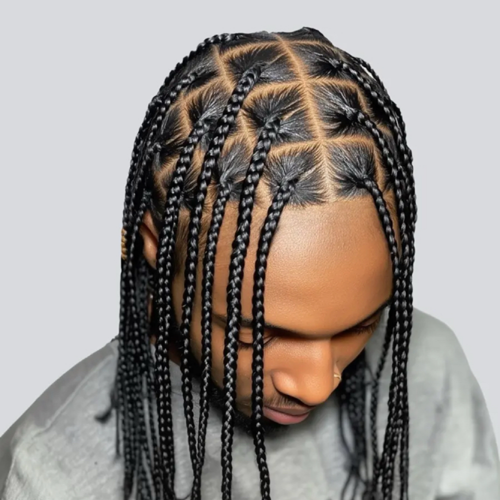 Single Braids at Locdbylizzo in Jonebsoro, GA