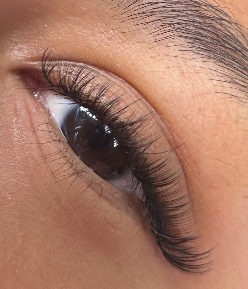 3 Week Classics/Hybrid Fill