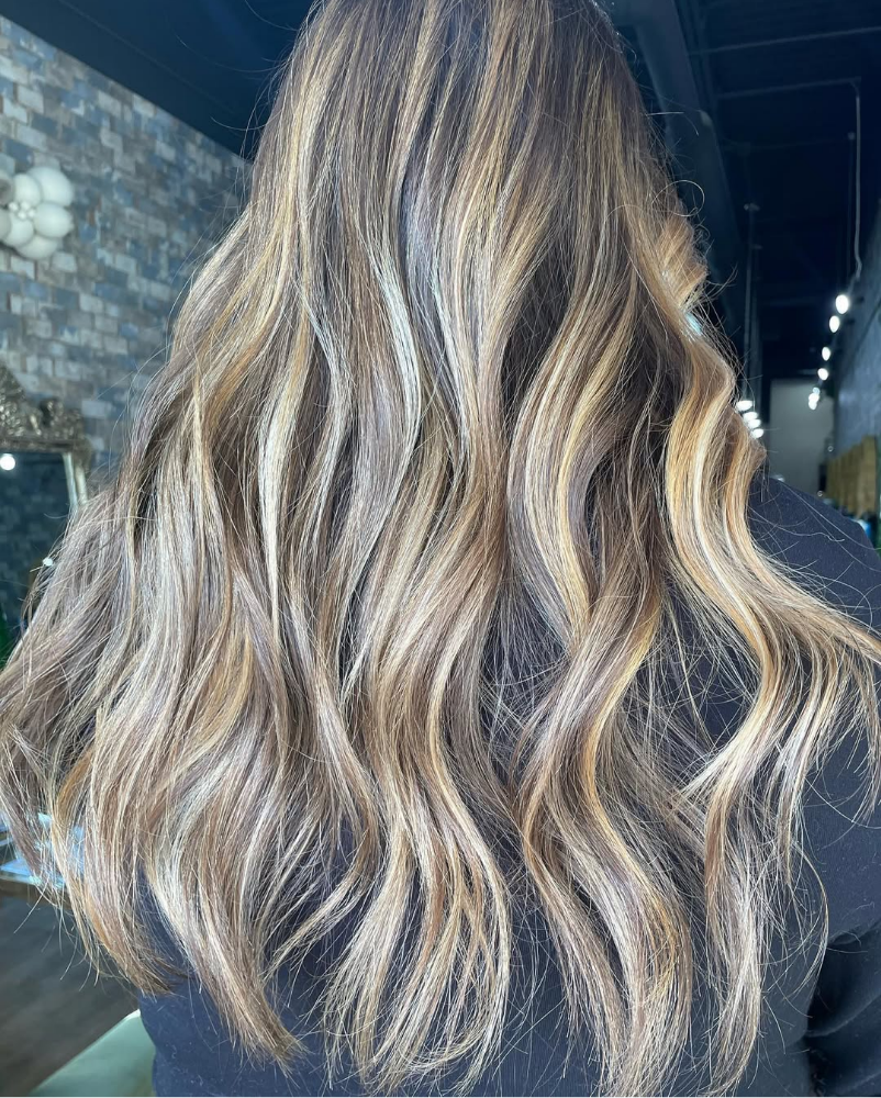 Full Highlight