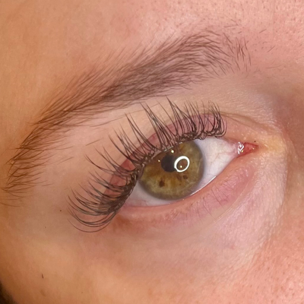 Classic 2 Week Fill at Lash Phase in Ormond Beach, FL