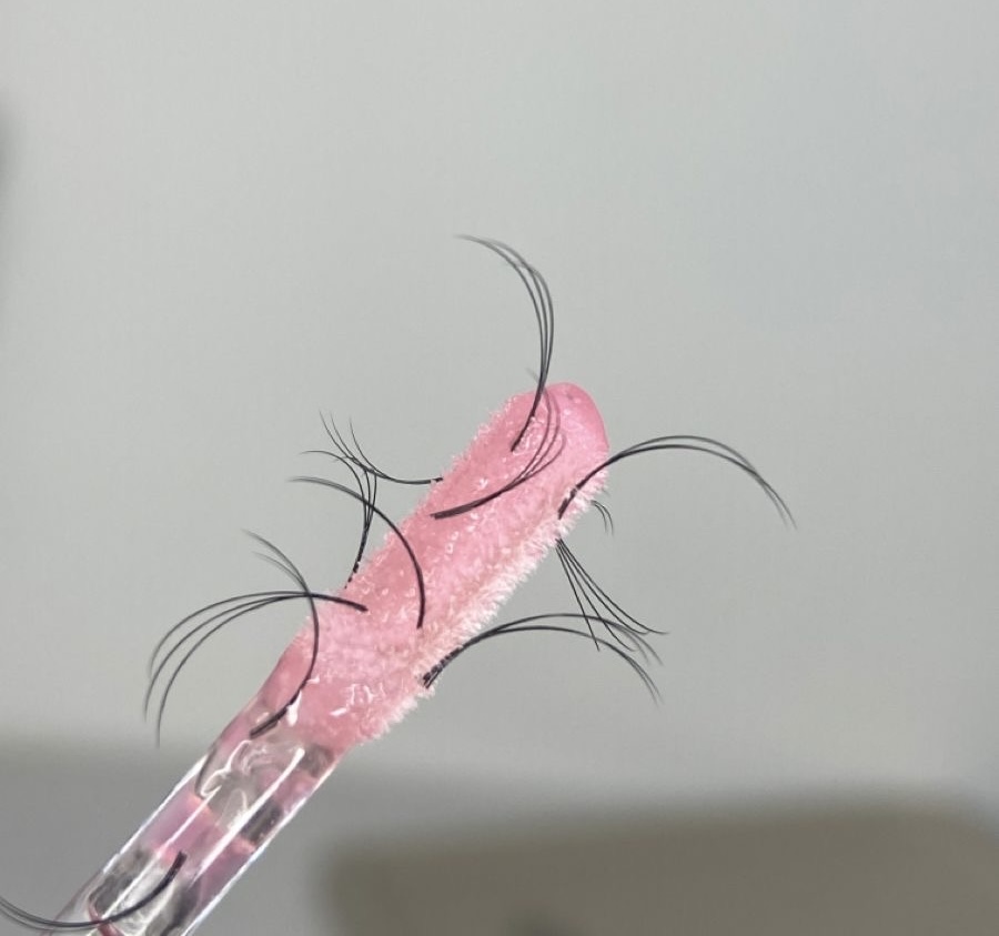 Lash Removal