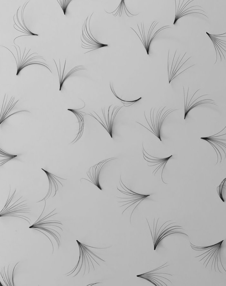 Lash Removal