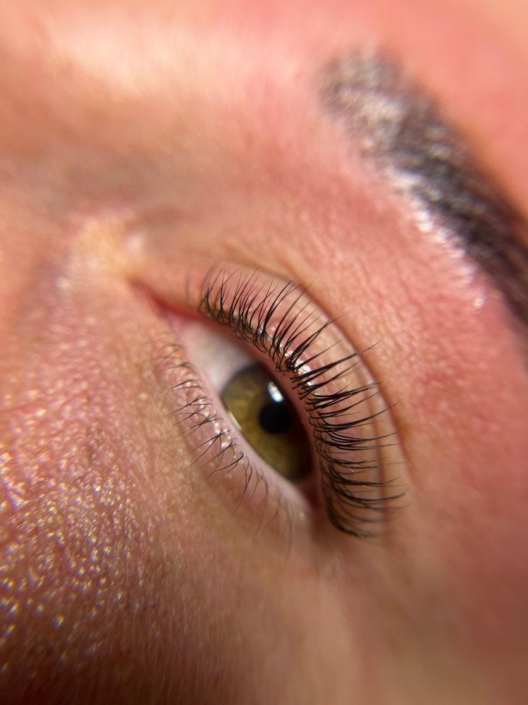 Lash Lift and Tint
