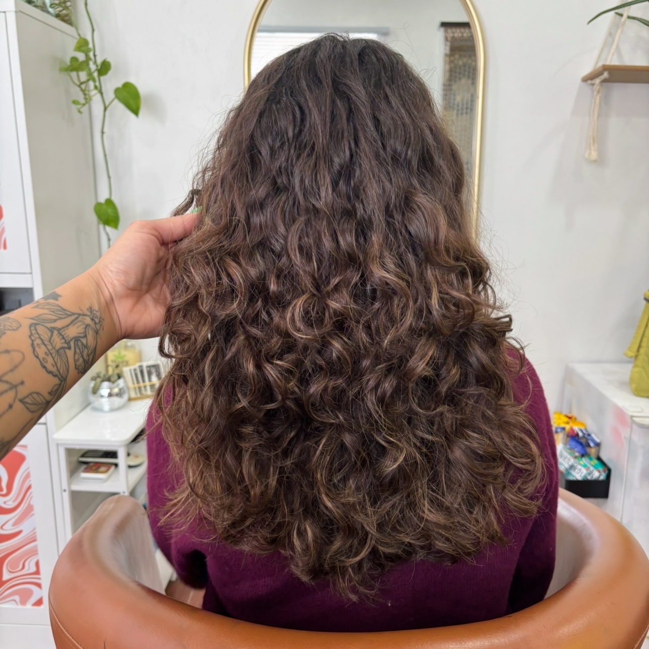Curly cut at Zen Room in El Paso, TX