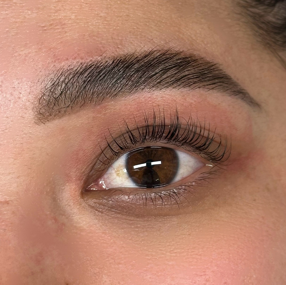 The Ultimate Brow