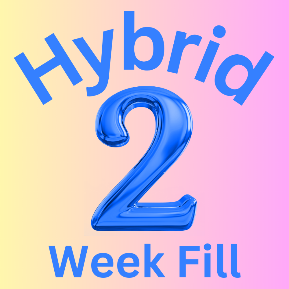 Hybrid Lash 2 Week Fill