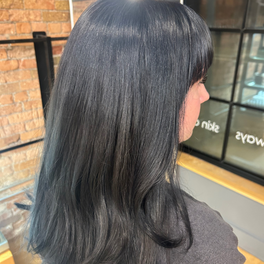 All Over Color at 5D Salon in Salt Lake City, UT