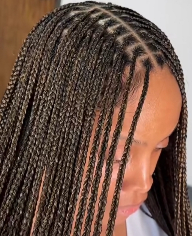 Small To Mid. Box Braids