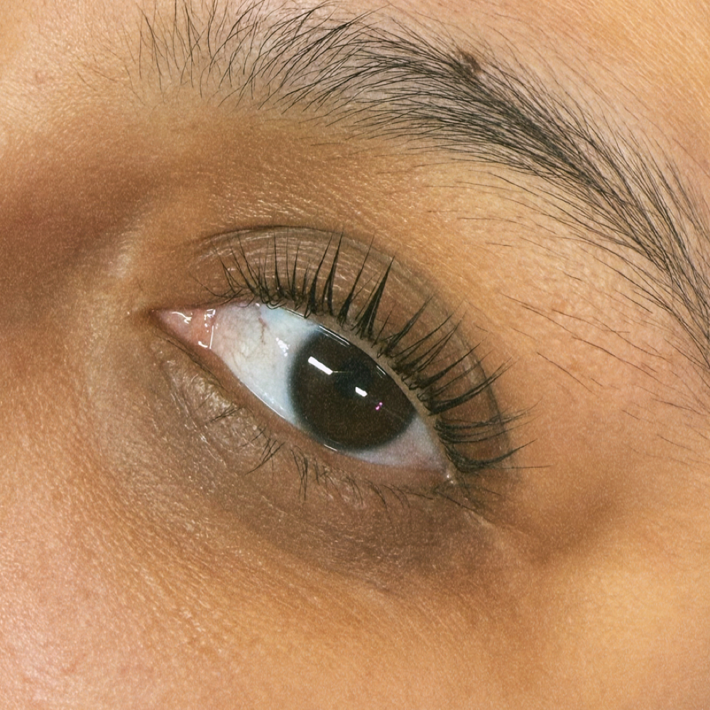 Lash Lift & Tint at Ox & Moon Studio - Marshfield in Marshfield, MO