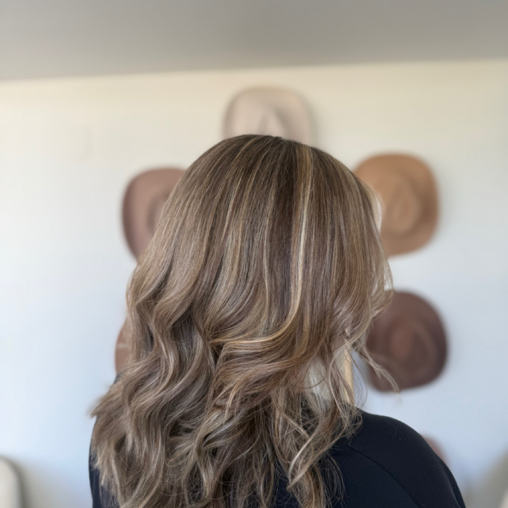 Root Touch Up + Full Highlight at Western Rose Salon in Dublin, PA