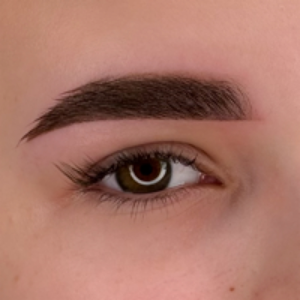 Powder Brows at 302PMU ACADEMY in Millsboro, DE